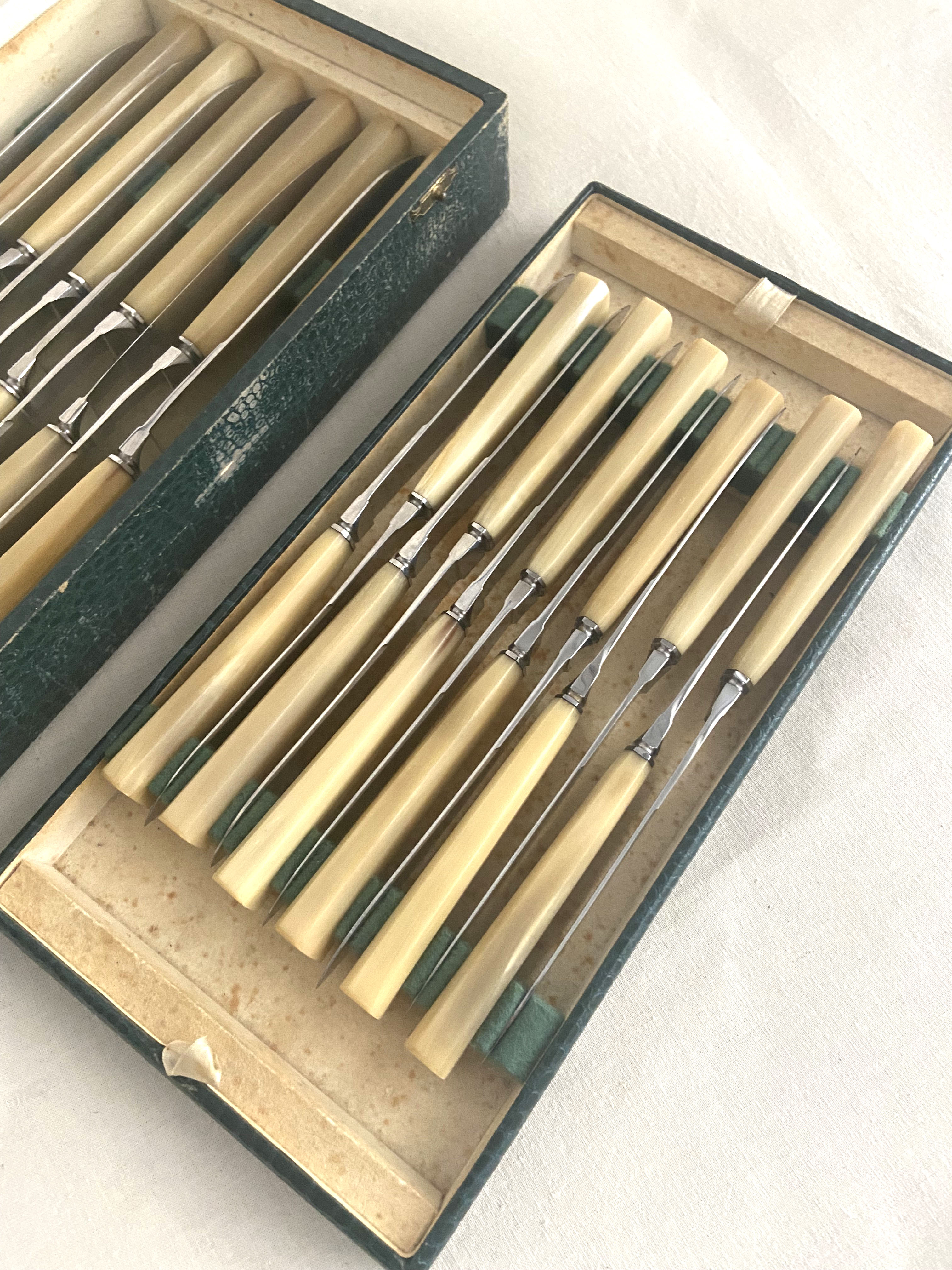 Housewife 24 horn knives