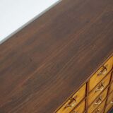 Dutch industrial apothecary cabinet in beech and oak 1940s