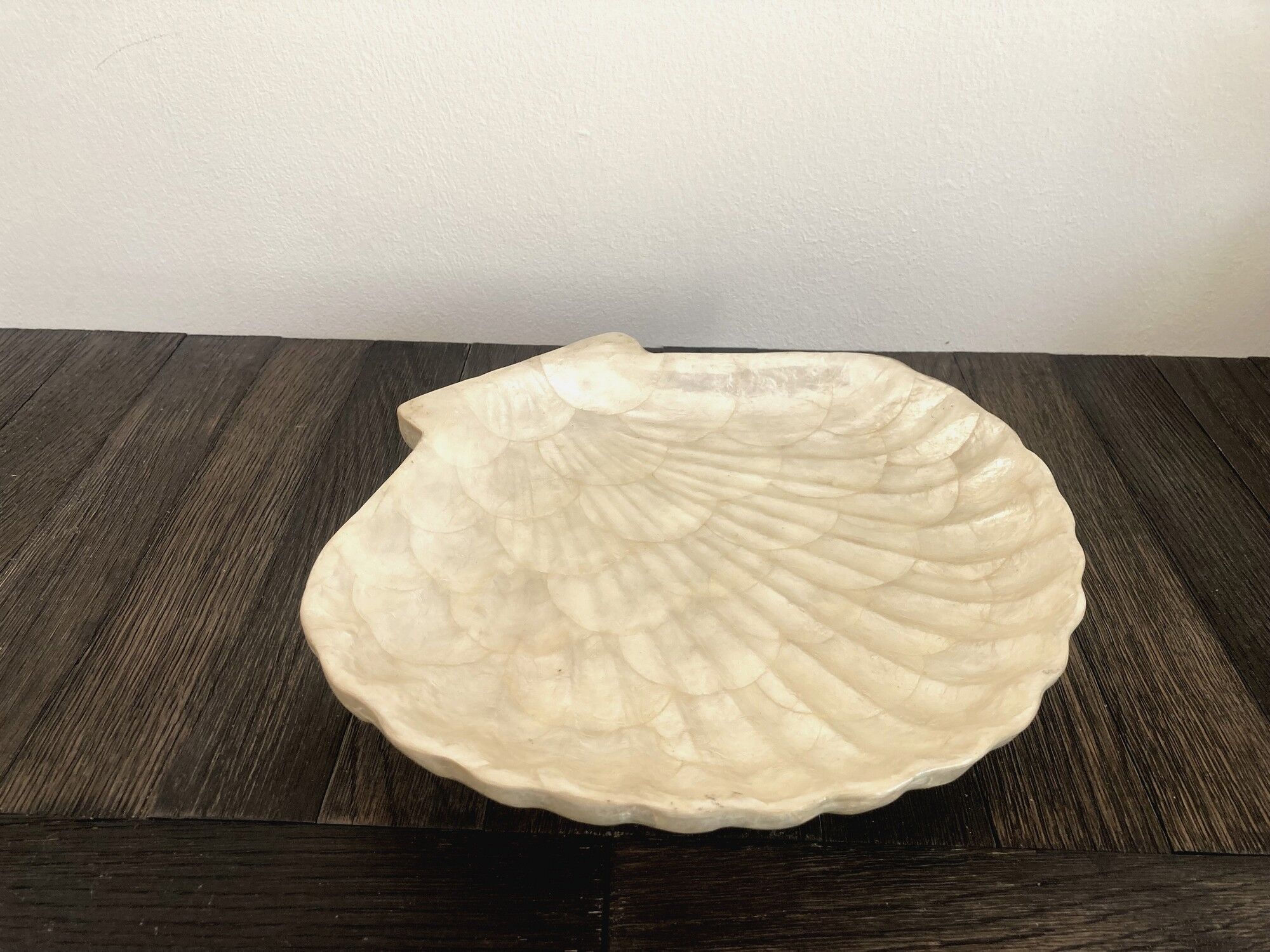 Cup / vacuum vintage pocket in the shape of mother-of-pearl shell