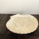 Cup / vacuum vintage pocket in the shape of mother-of-pearl shell