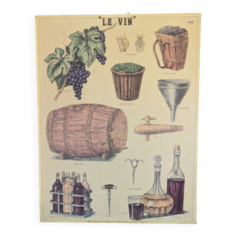 “wine” Émile Deyrolles