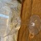 6 vintage butterfly champagne glasses