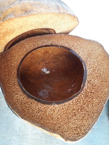 Seau à glaçon noix de coco vintage 1960