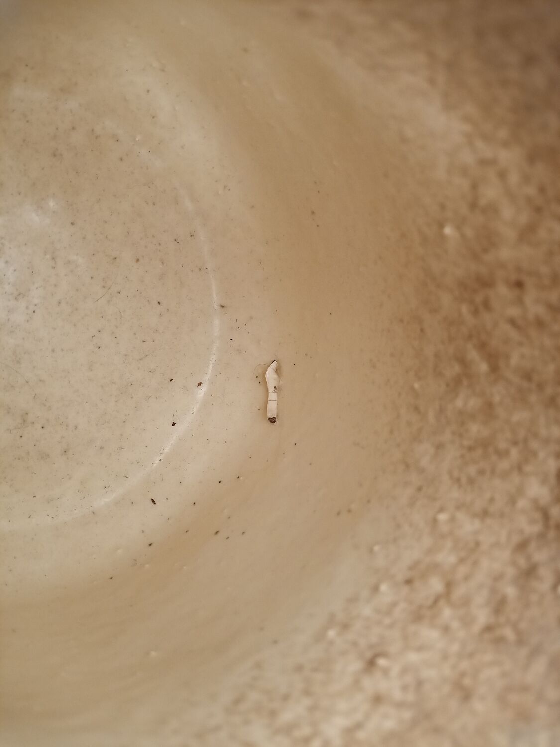 Signed stoneware milk jug