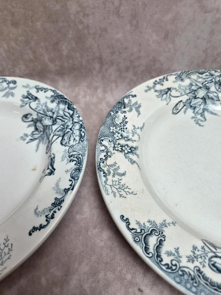 Set of 12 plates Terre de Fer Clairefontaine Cyclamens