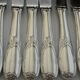 Set of 12 knives silver metal handle stainless steel blade G. VIVIER.