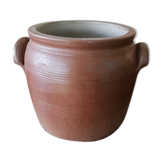 Terracotta pot