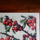 Ancienne affiche sur les cerises