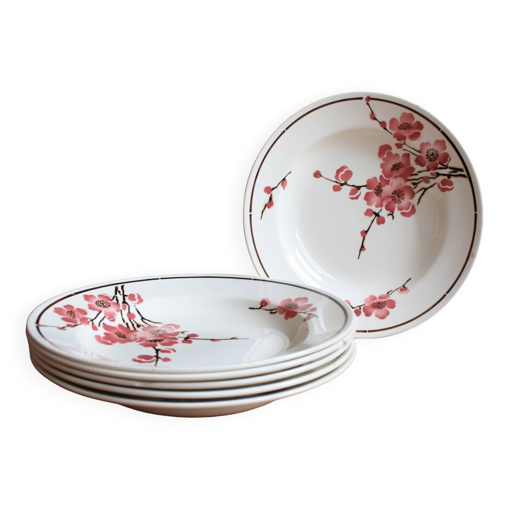 Set of 6 Terre de Fer St Amand "cherry" deep plates
