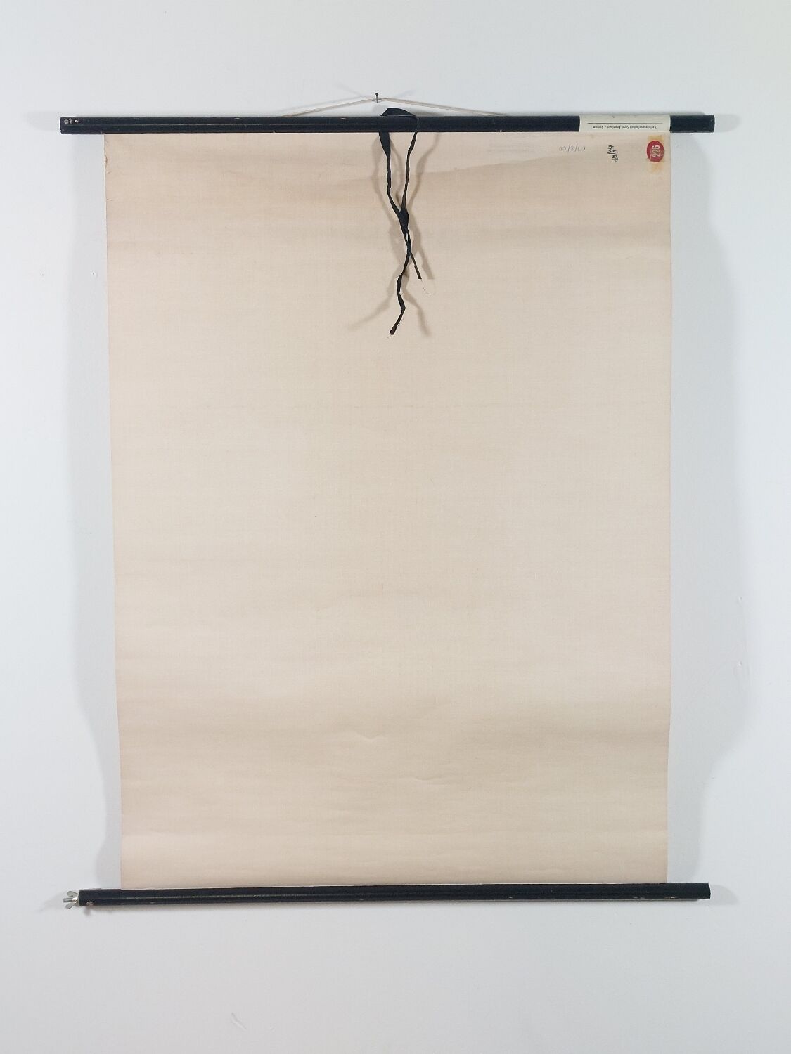Vintage educational wall hanging roll chart poster map