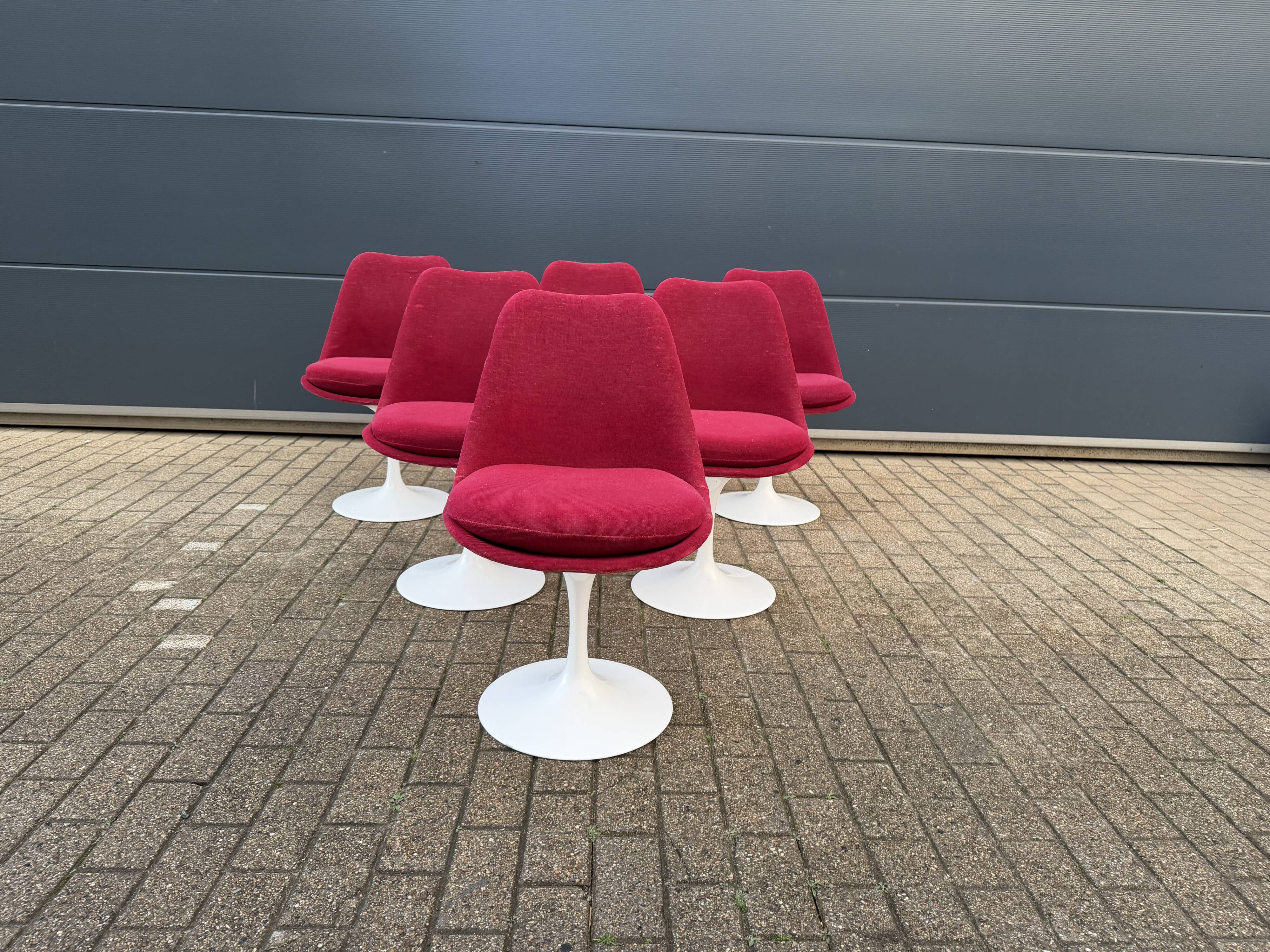 6 original vintage Knoll Tulip chairs by Eero Saarinen