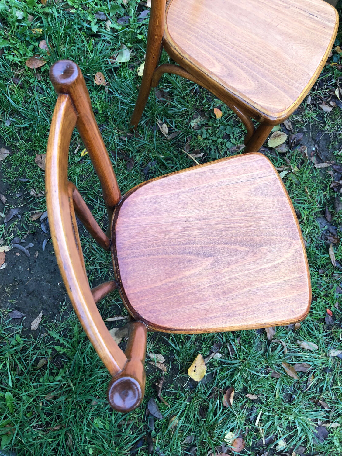 Varnished bistro chairs