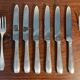 SFAM silver metal dessert or cheese set