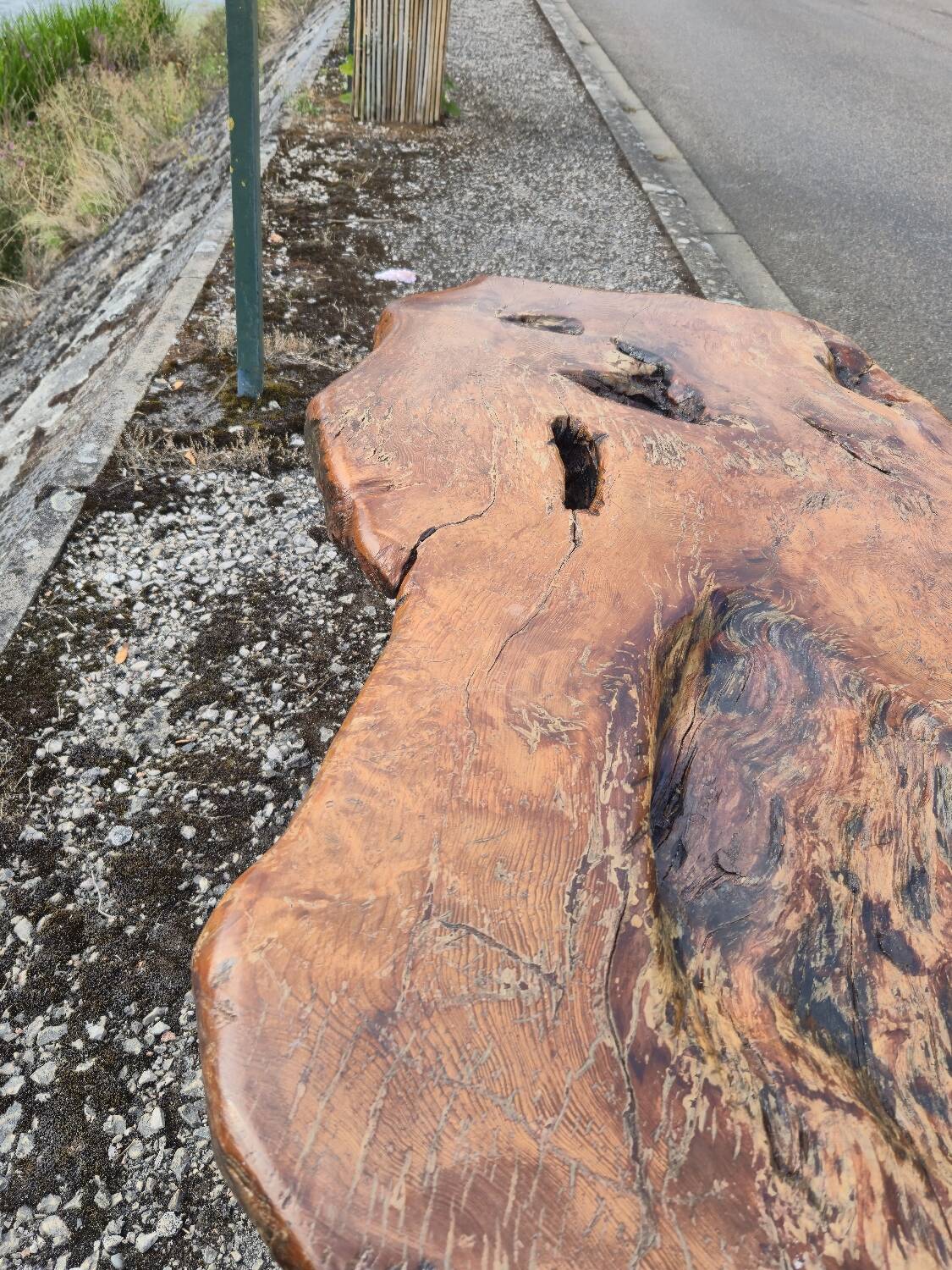 Brutalist coffee table made from solid elm tree trunk, 1950s