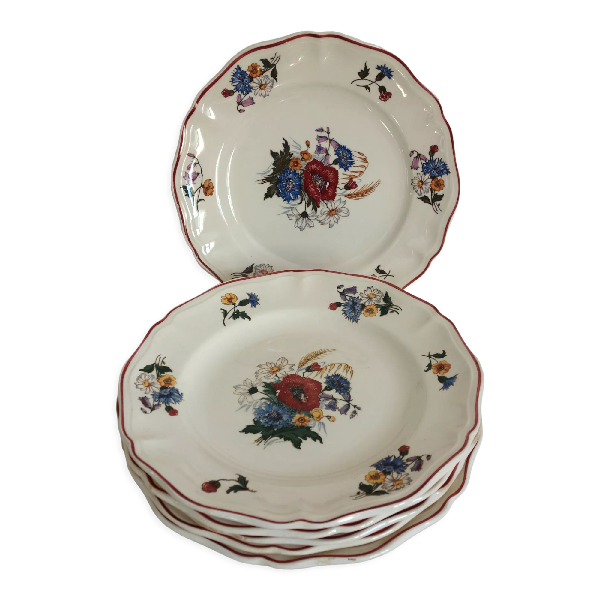 Set of 6 flat plates in earthenware Sarreguemines Model "Agreste" vintage
