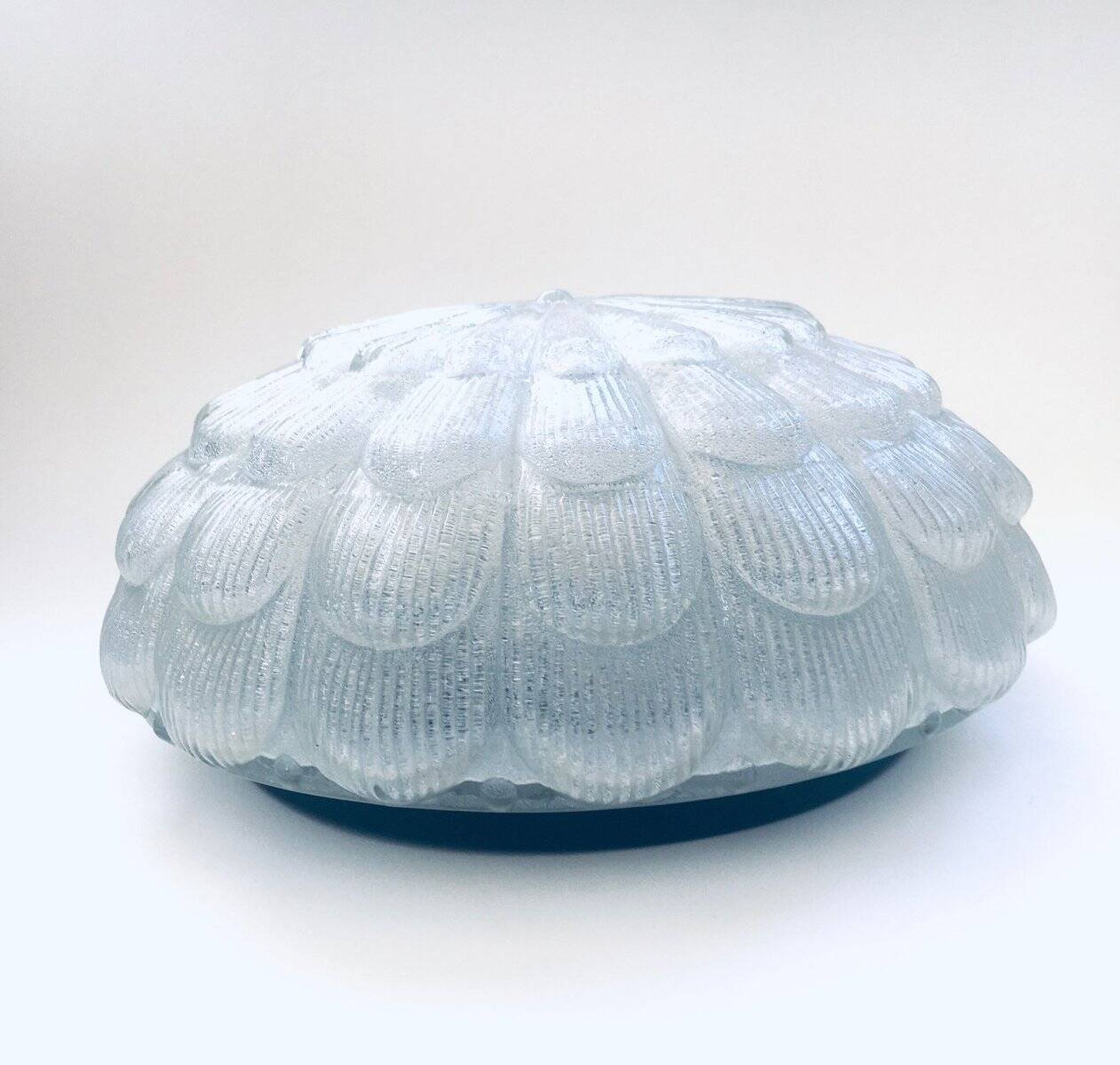 Large Frosted Flower Glass Sconce Wall Lamp from MCM, 1960s