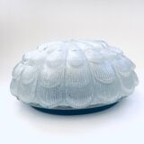 Large Frosted Flower Glass Sconce Wall Lamp from MCM, 1960s