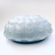 Large Frosted Flower Glass Sconce Wall Lamp from MCM, 1960s