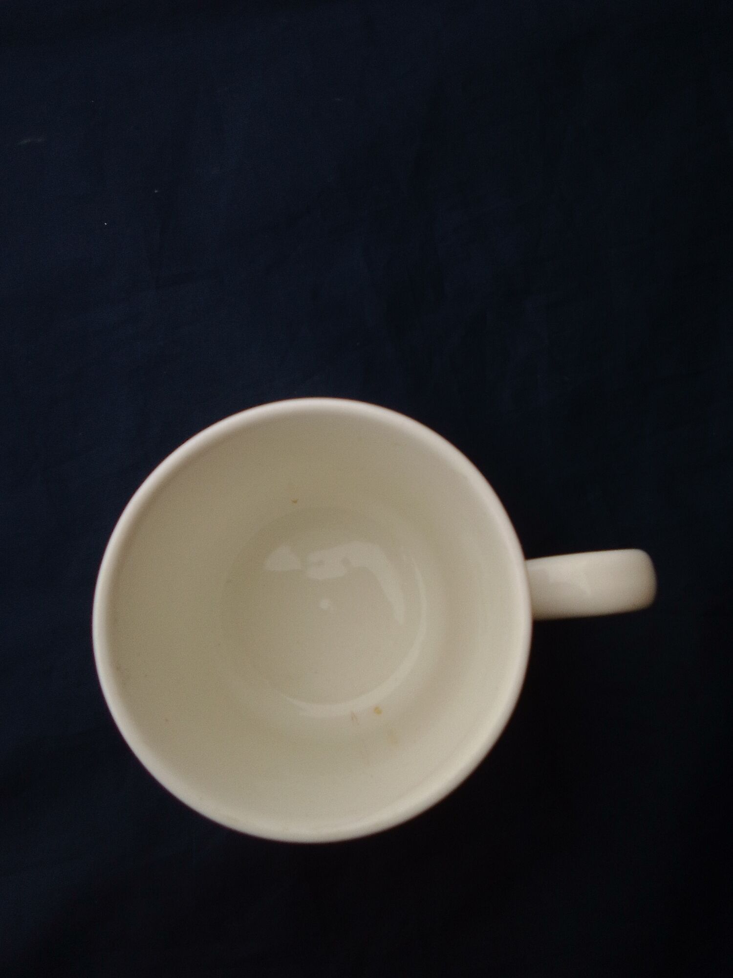 Mug in vitro porcelain Villeroy & Boch model Botanica Camellia Ssnensis S H 9 cm