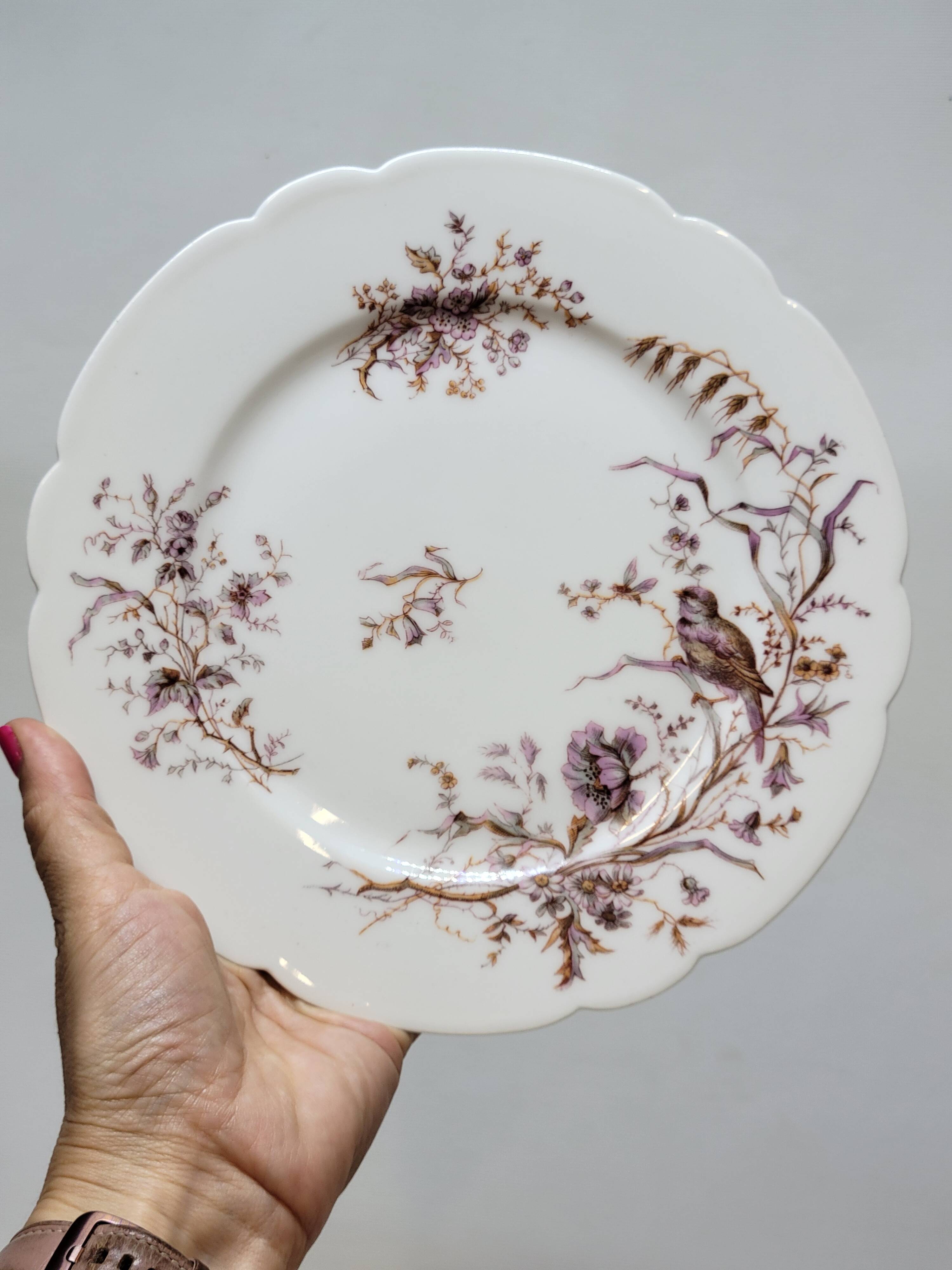 6 Superb Antique 19th Century White Porcelain Plates with Bird Decor