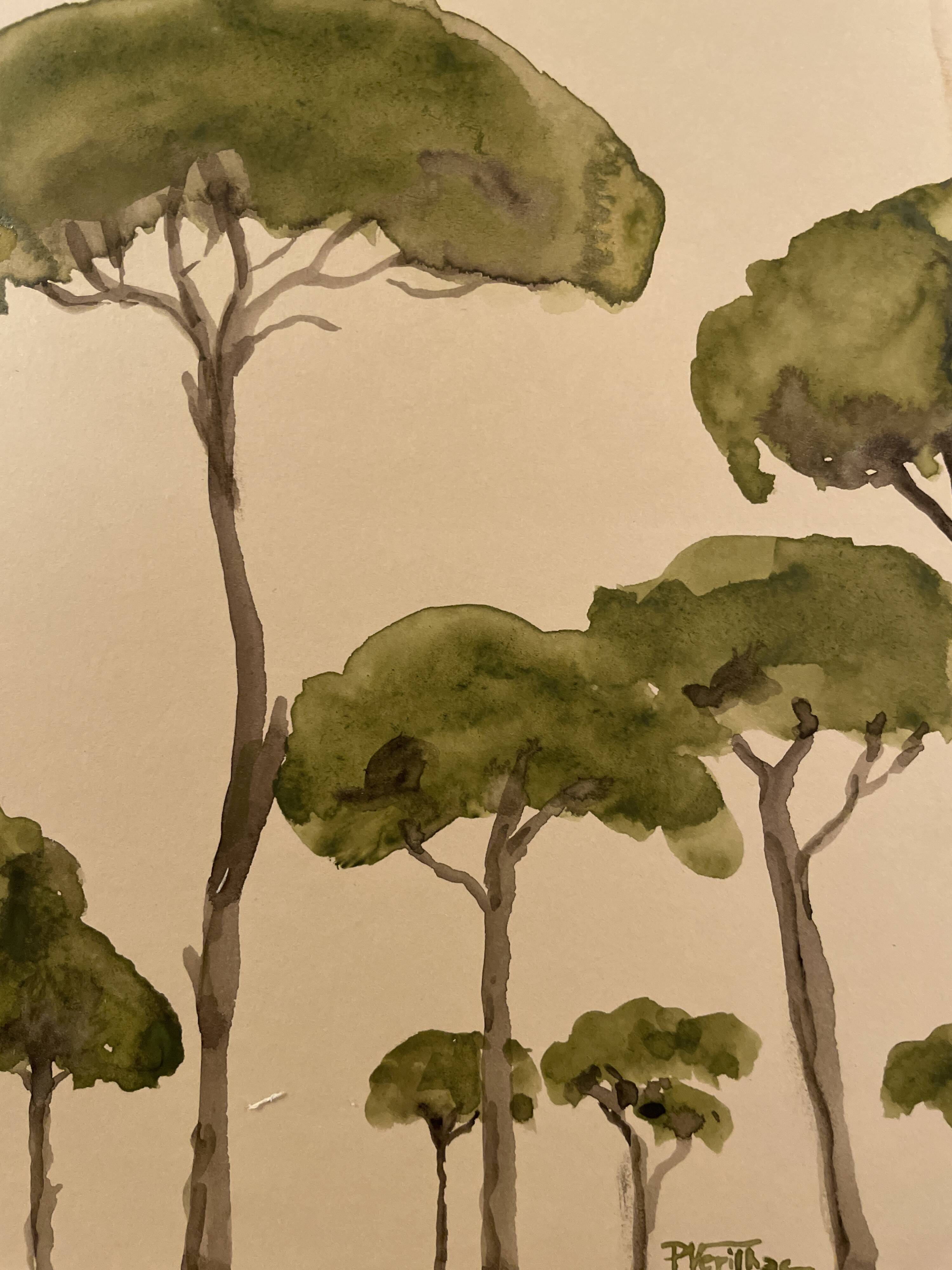 Tableau signé aquarelle « pinède du Lubéron »