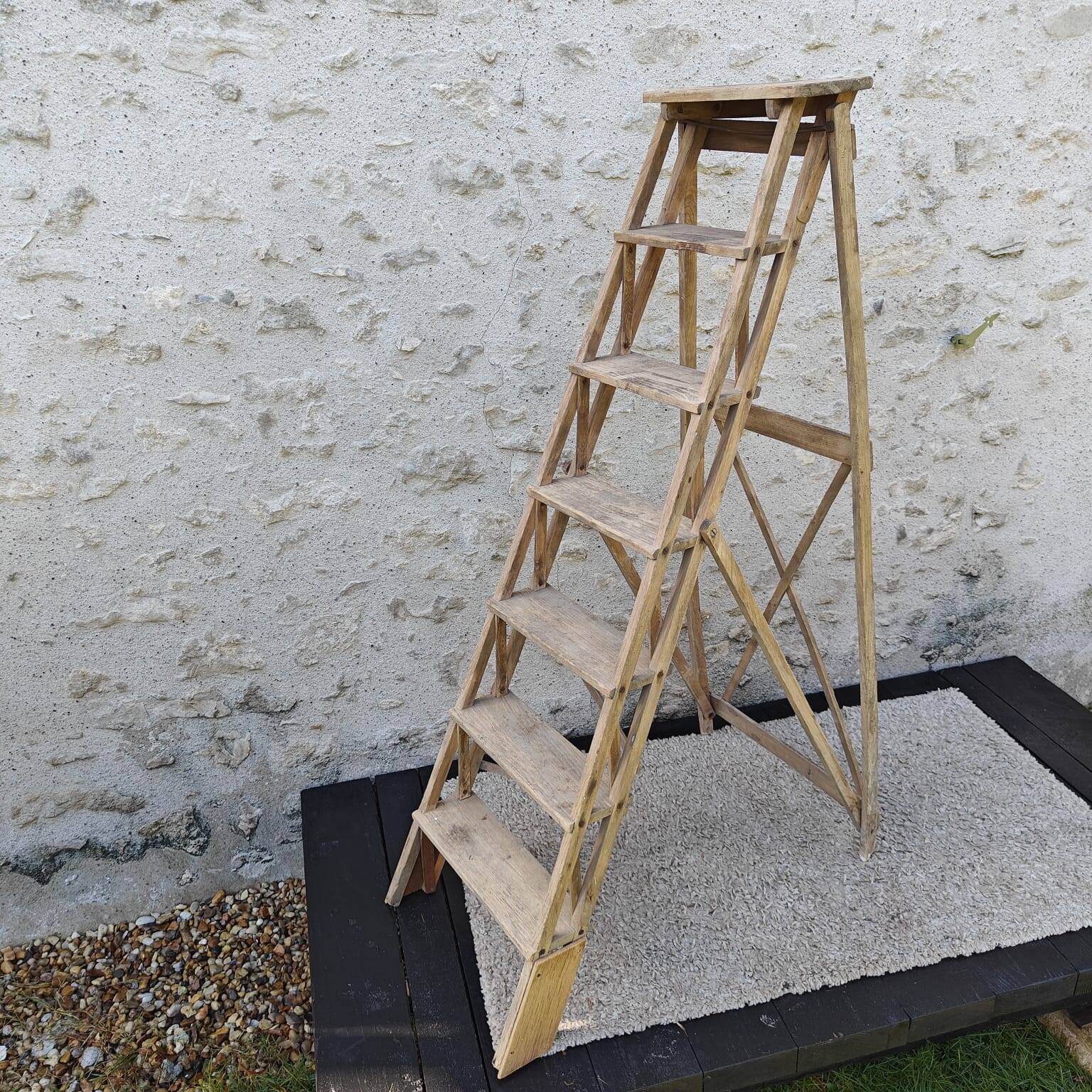 Large stepladder