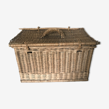 Wicker trunk