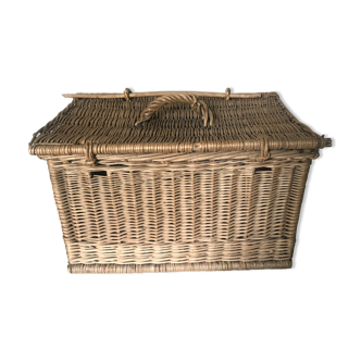 Wicker trunk