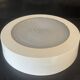 Lacquered metal Holophane ceiling light