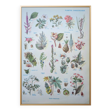 Imprimée en 1954, les plantes dangereuses.