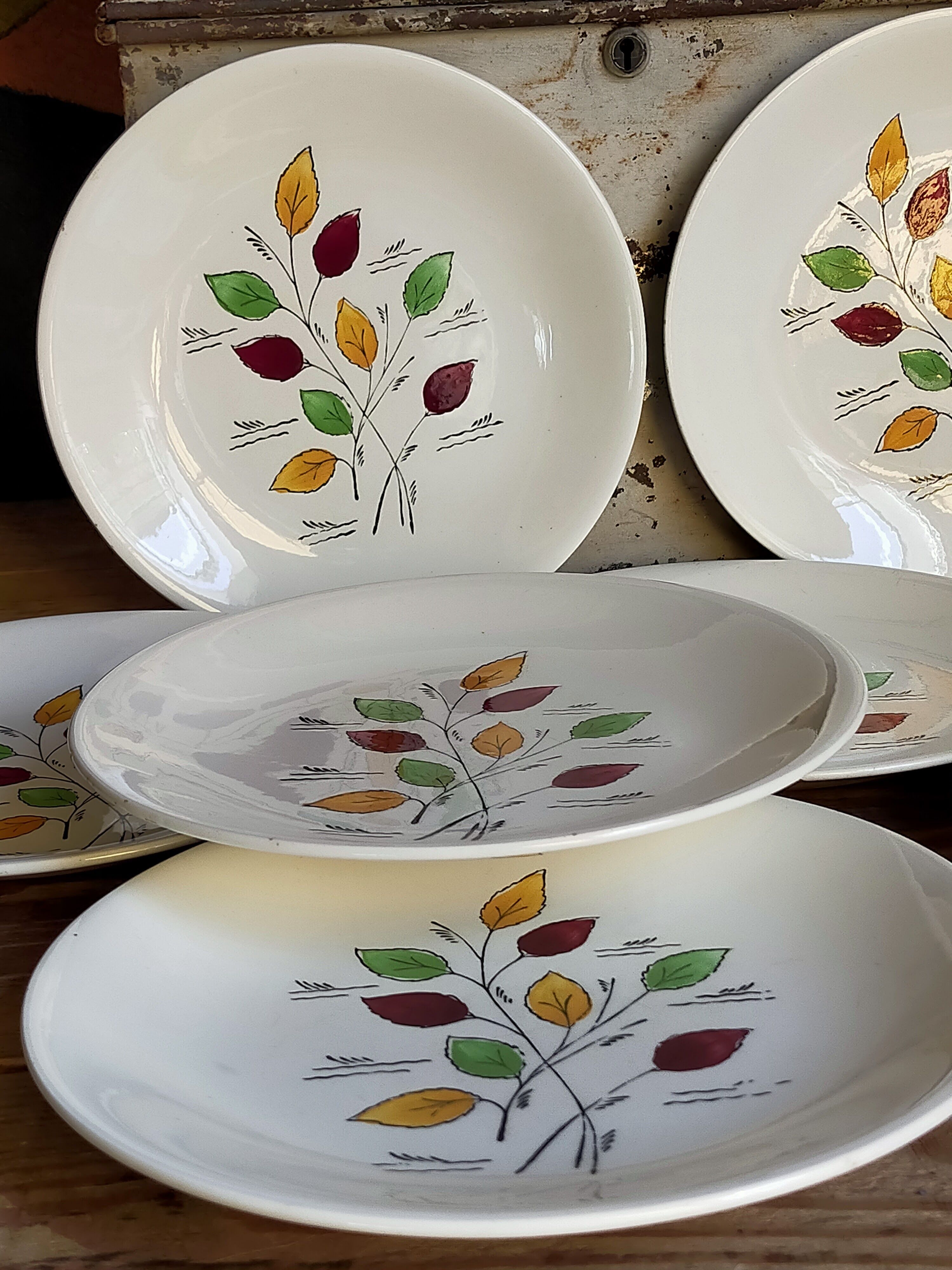 Seven vintage plates in fine earthenware from Gien service Gentilly