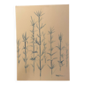 Tableau signé aquarelle monochrome « Bambous » zen