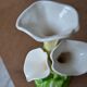 Lily slip vase