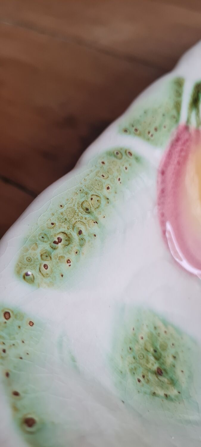 Sarguemines slurry dish