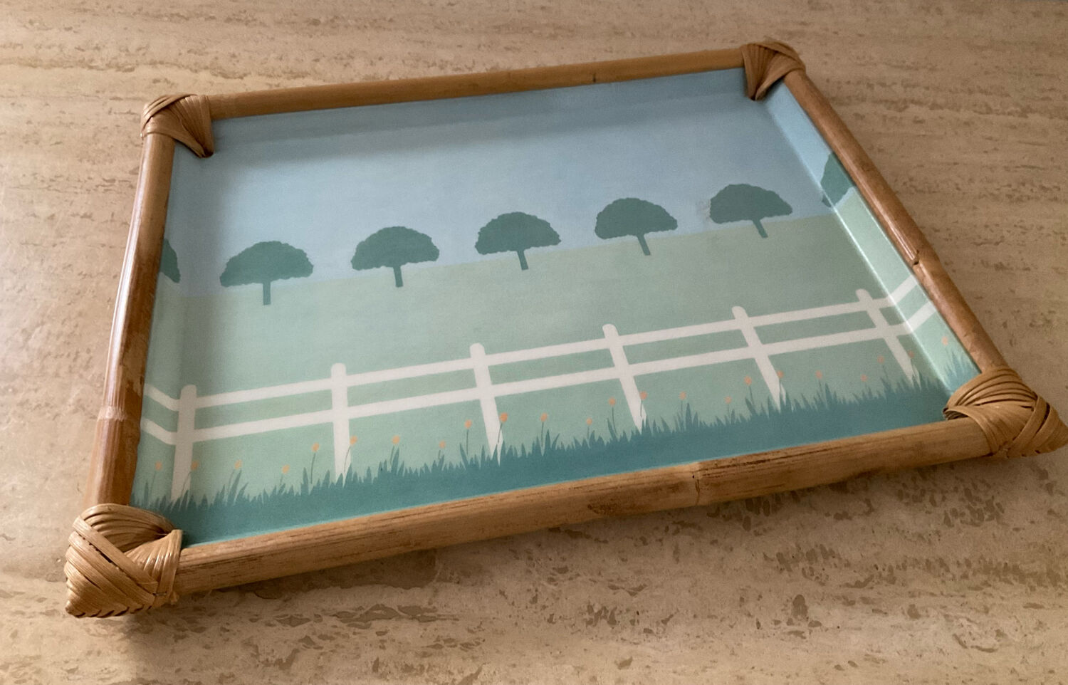 Vintage alpac tray in fiberglass and rattan