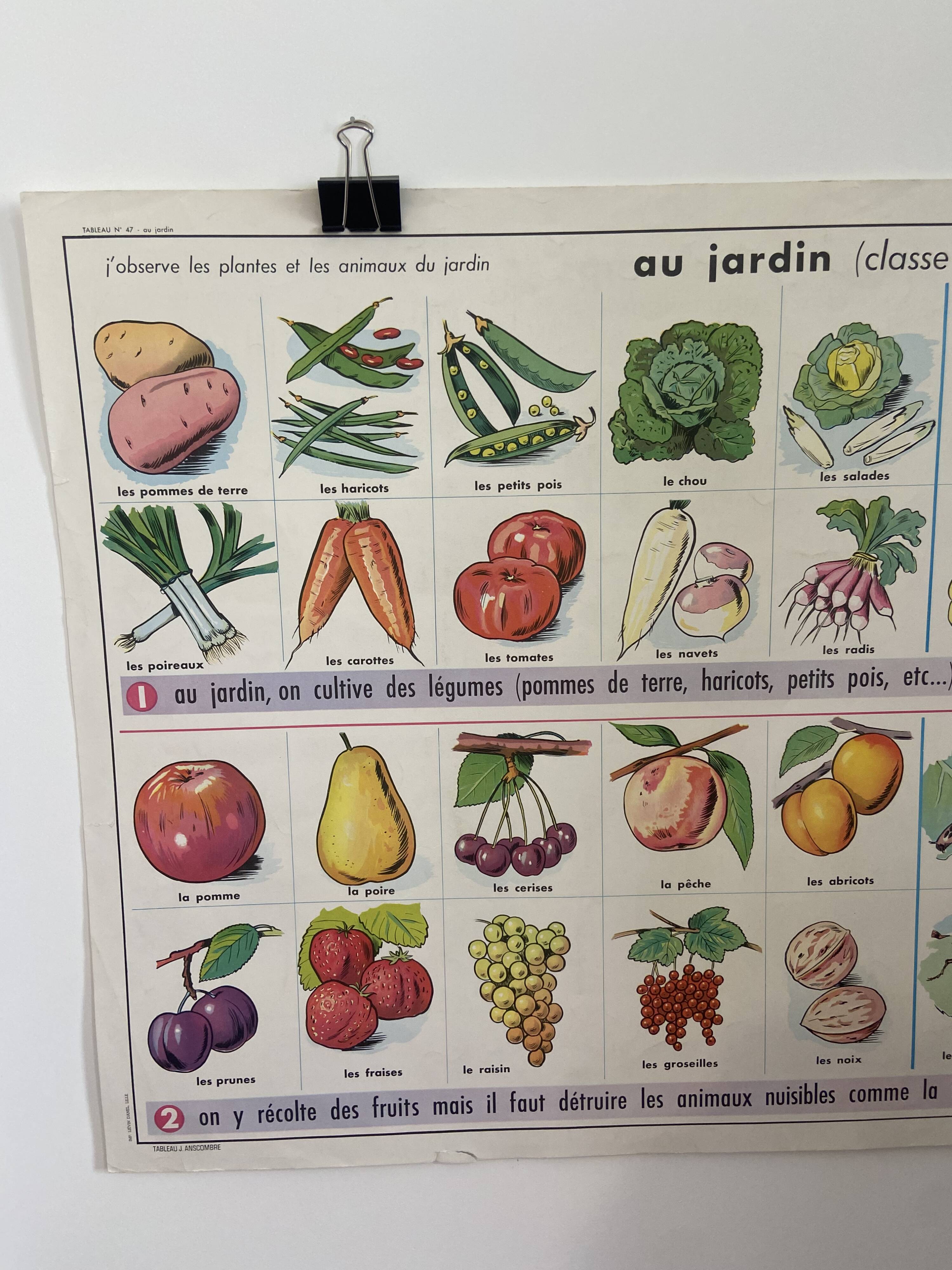 Vintage educational poster