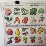 Vintage educational poster