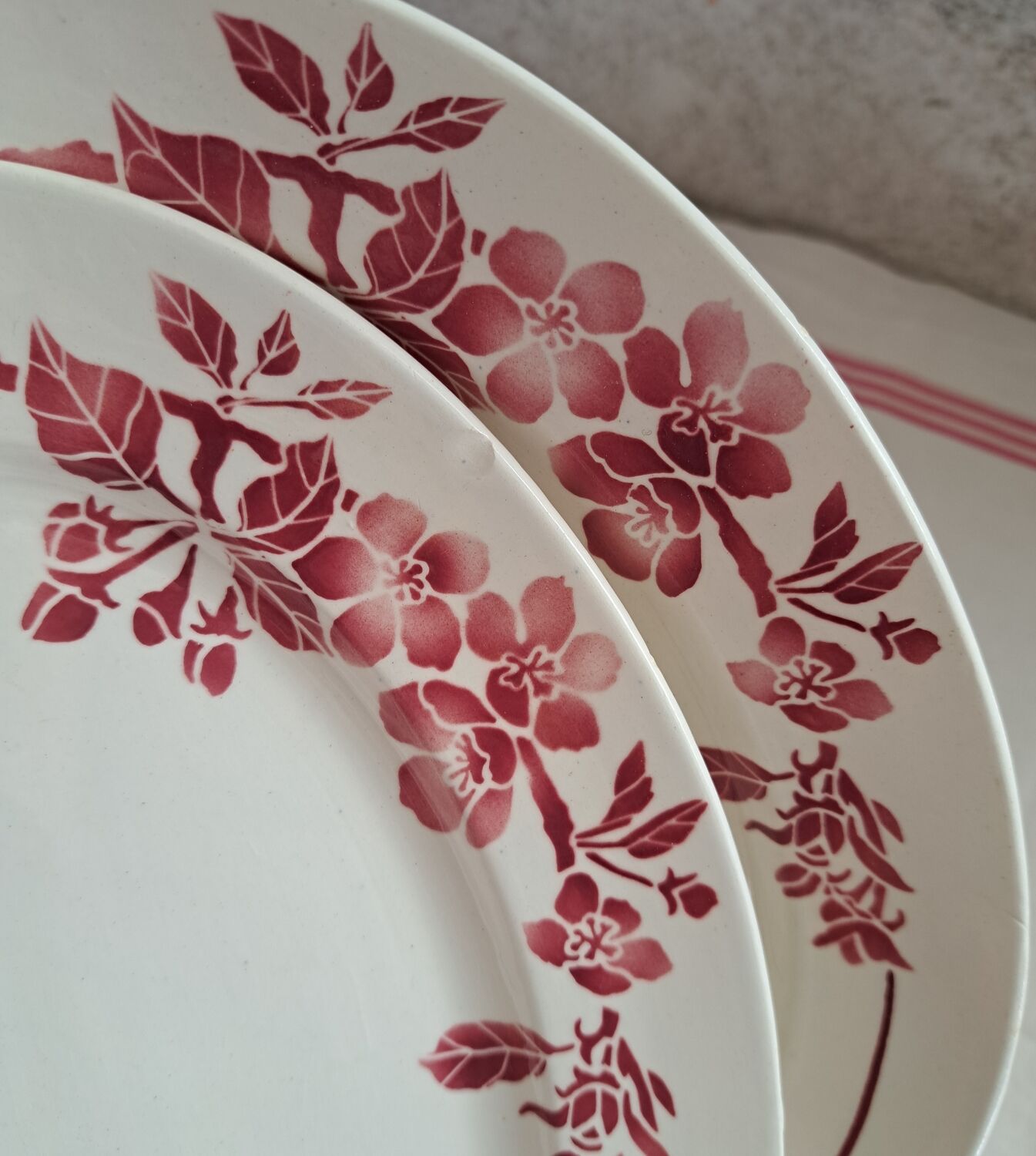 Duo of oval dishes