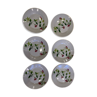 SERIES OF 6 DESSERT PLATES WITH PINK AND GREEN CONDUCT DECOR RECEIPT BRAND