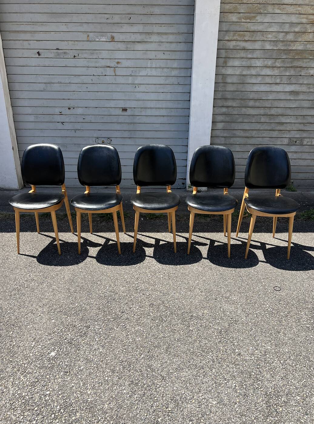 (Lot) 5 Chaises Pégase, Pierre Gurariche pour Baumann