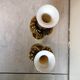 Pair of murano candle holders