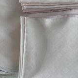 Rectangular tablecloth for 12 people and 12 napkins from Wite Lietaer, 160 cm.