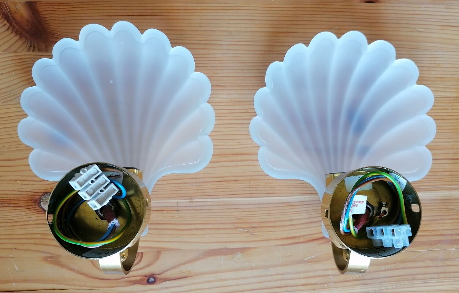 Pair of Deknudt shell wall lights