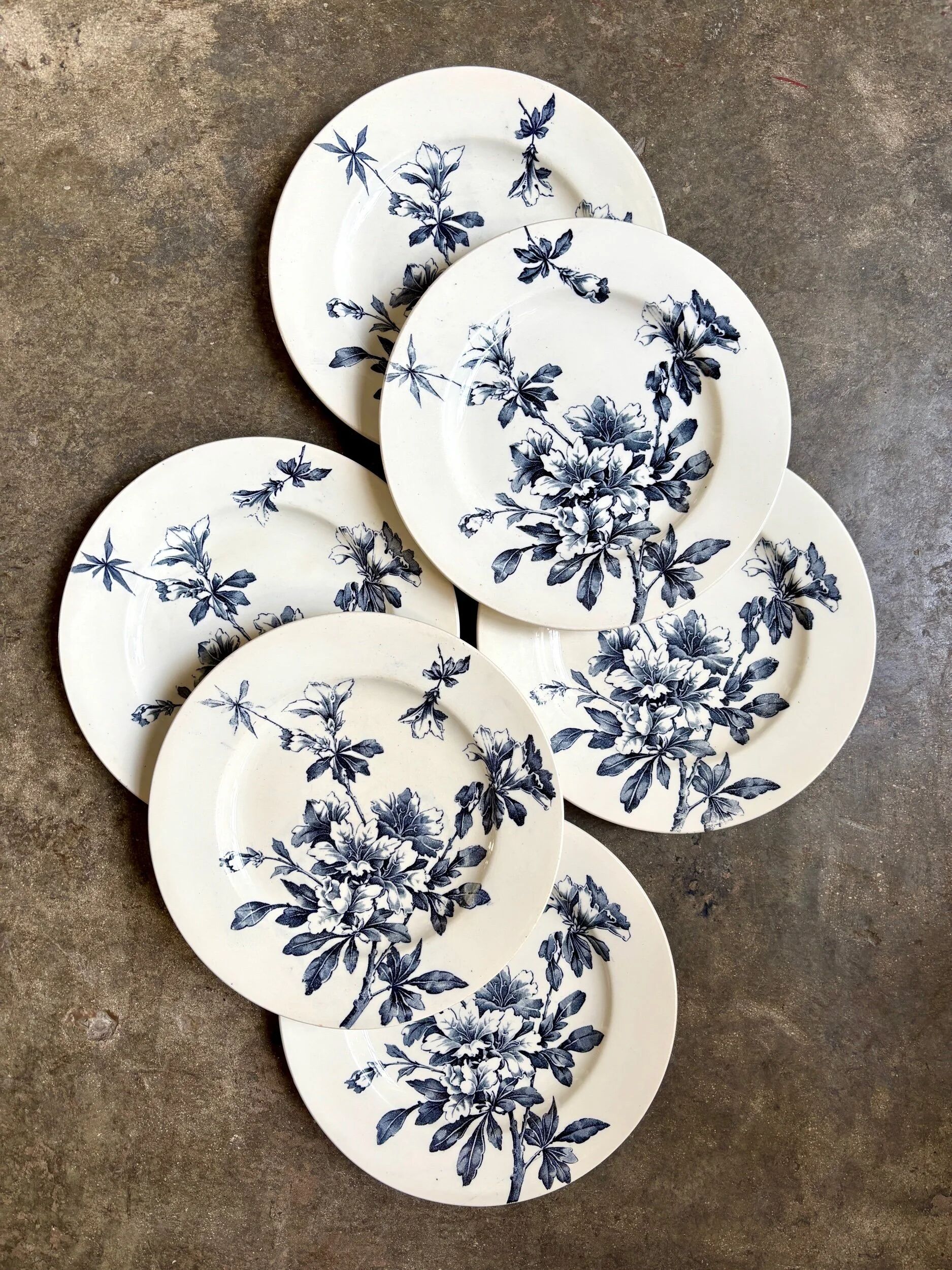 6 Lunéville dessert plates in blue ironstone, "Azaléa" service