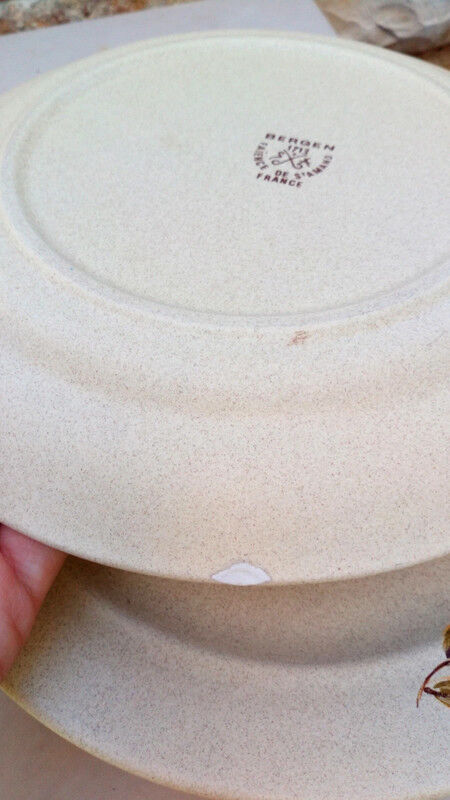 Floral plates sandstone St Amand Bergen