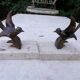 Bird book greenhouses on marble