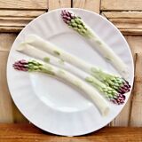 3 assiettes à asperges barbotine Luneville