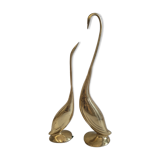 Duo brass swans