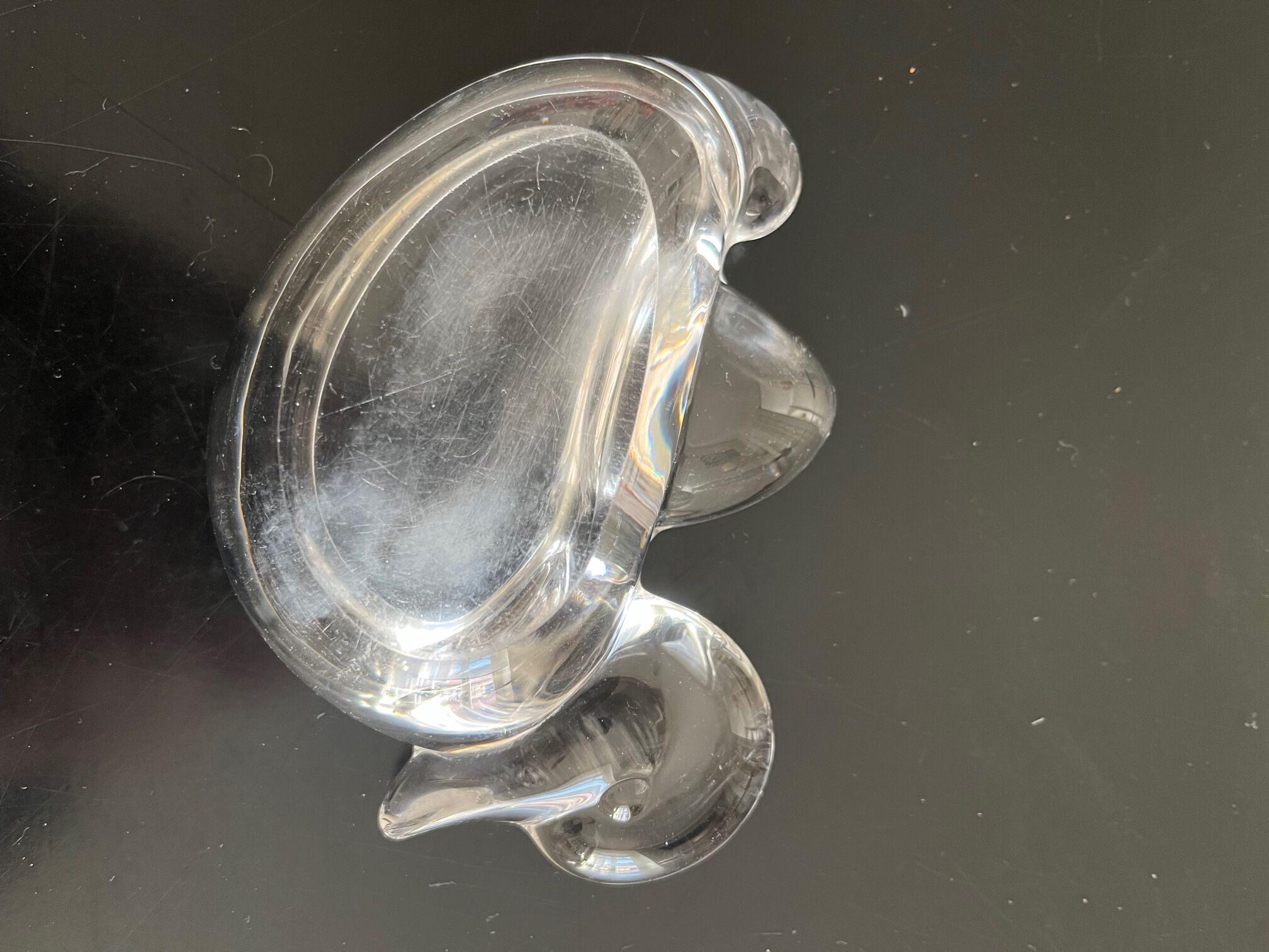 Vacuum pocket crystal duck