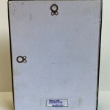 Framed naturalized insect - Phyllium giganteum, Malaysia